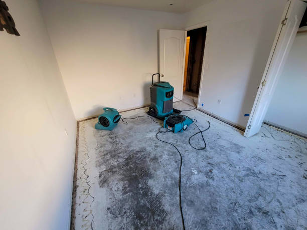 Best Ceiling water damage repair  in Lake Bryan, TX