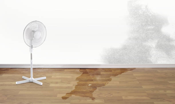 Lake Bryan, TX Water damage restoration Company