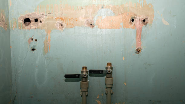 Best Commercial water damage restoration  in Lake Bryan, TX