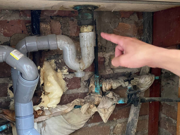 Best Water damage mitigation services  in Lake Bryan, TX