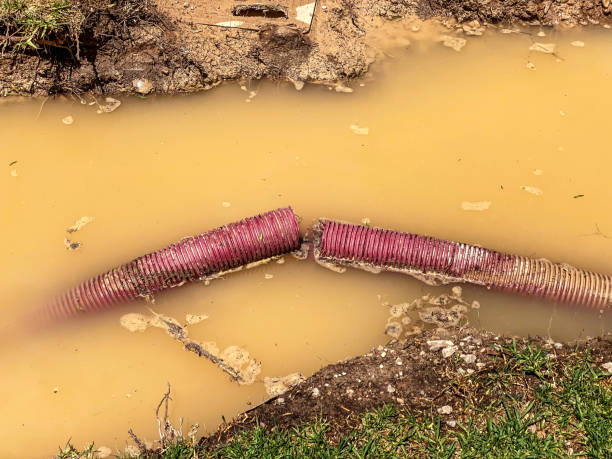 Best Water damage restoration mold remediation  in Lake Bryan, TX