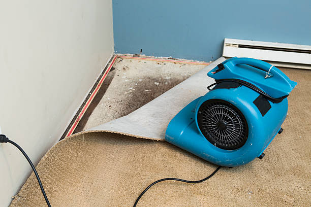 Best Local water damage restoration  in Lake Bryan, TX